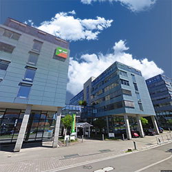 Grundrissplan mit Wänden, Fenstern, Türen und Höhekoten